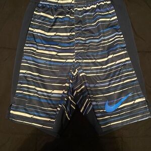 Nike Dri-FIT Navy and White Shorts